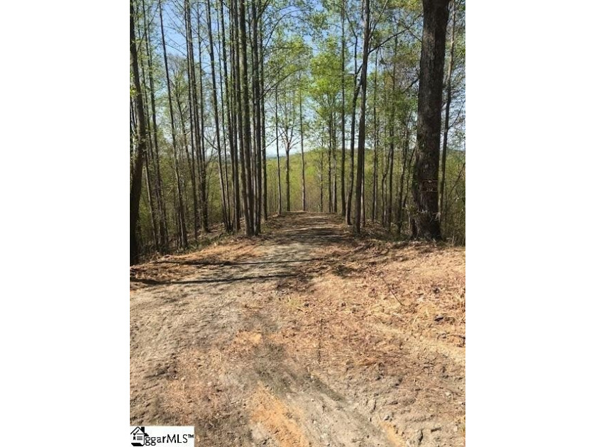 Fantastic opportunity at The Cliffs at Mountain Park, The - photo 4