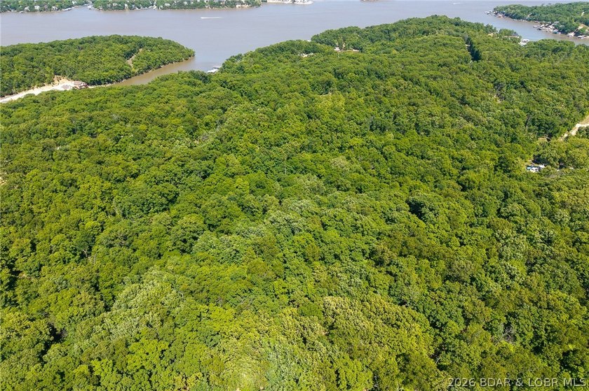 Exceptional development and investment opportunity in the heart - photo 19