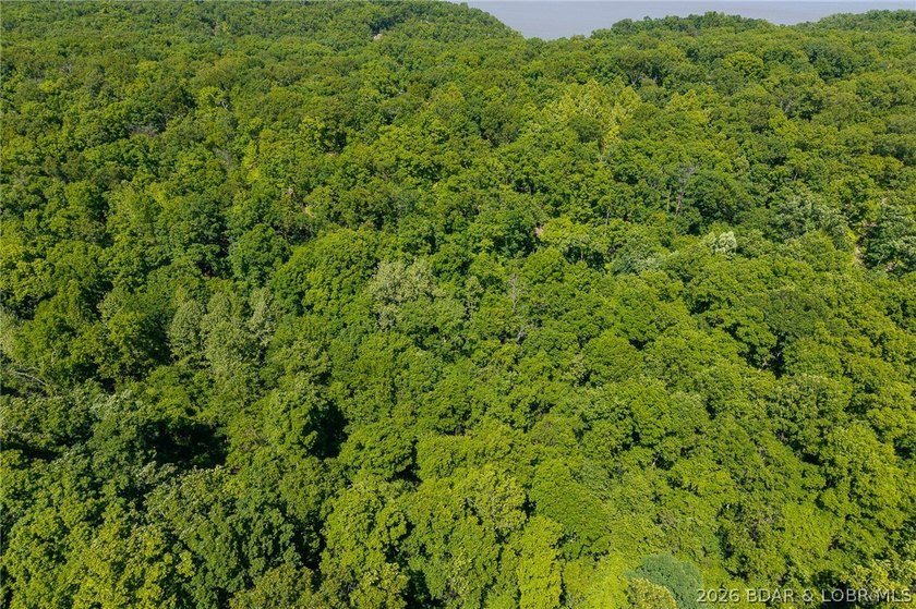 Exceptional development and investment opportunity in the heart - photo 26