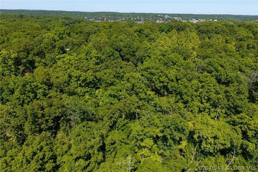 Exceptional development and investment opportunity in the heart - photo 31