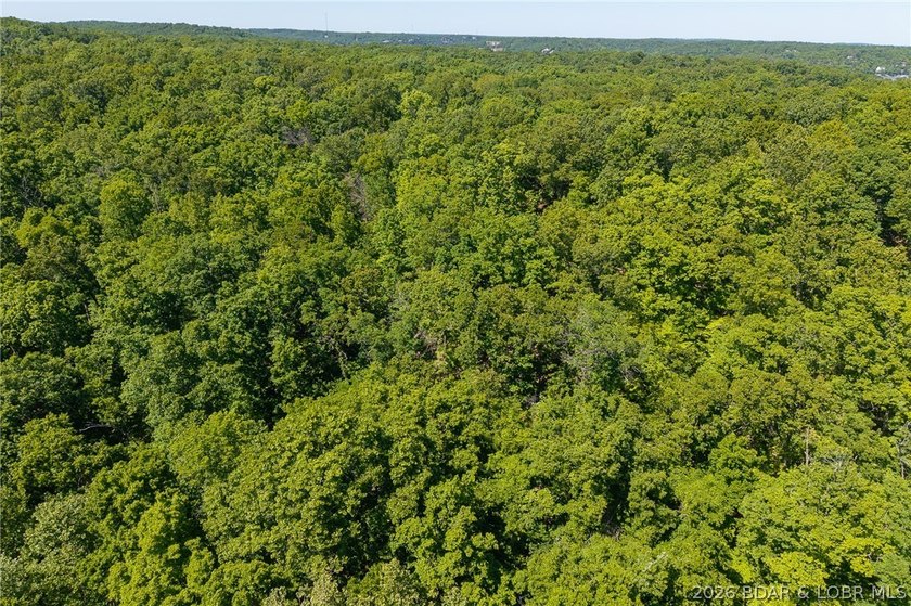 Exceptional development and investment opportunity in the heart - photo 32