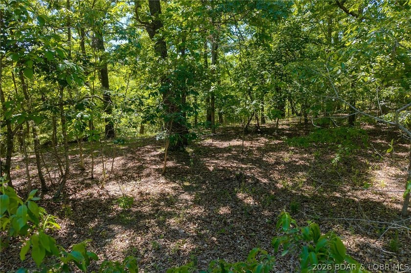 Exceptional development and investment opportunity in the heart - photo 33