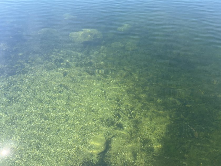 Here is your chance to own your special place on the lake. This - photo 6