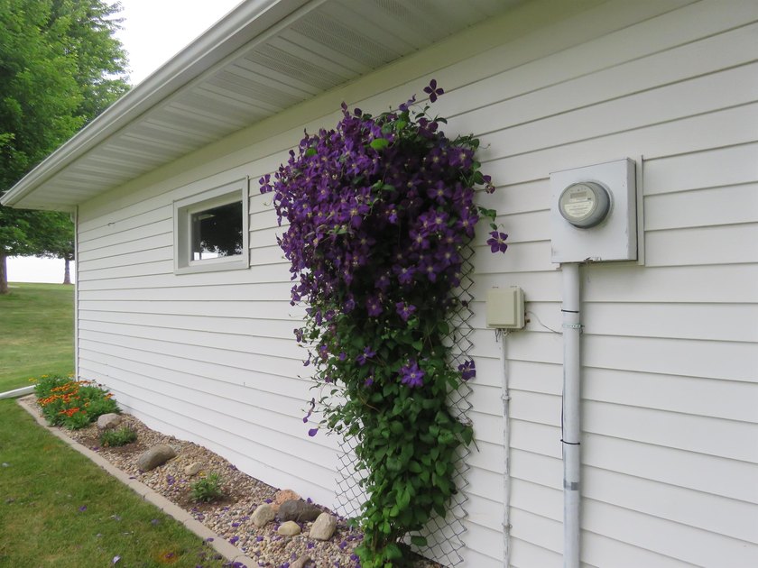 Well maintained, move in ready 3 bedroom 2 full bath home in - photo 35