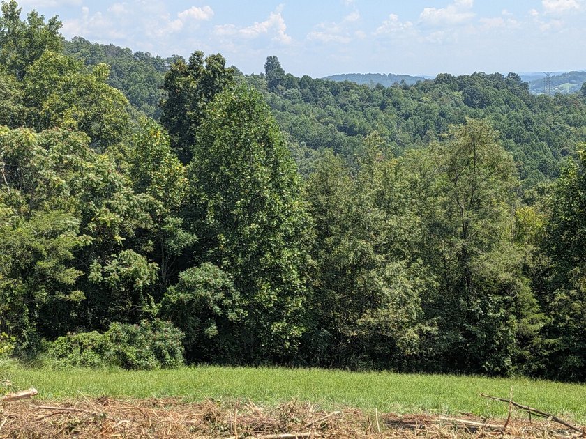 This 1.52 +/- acre lot is located at the top of Leon's Rock - photo 12