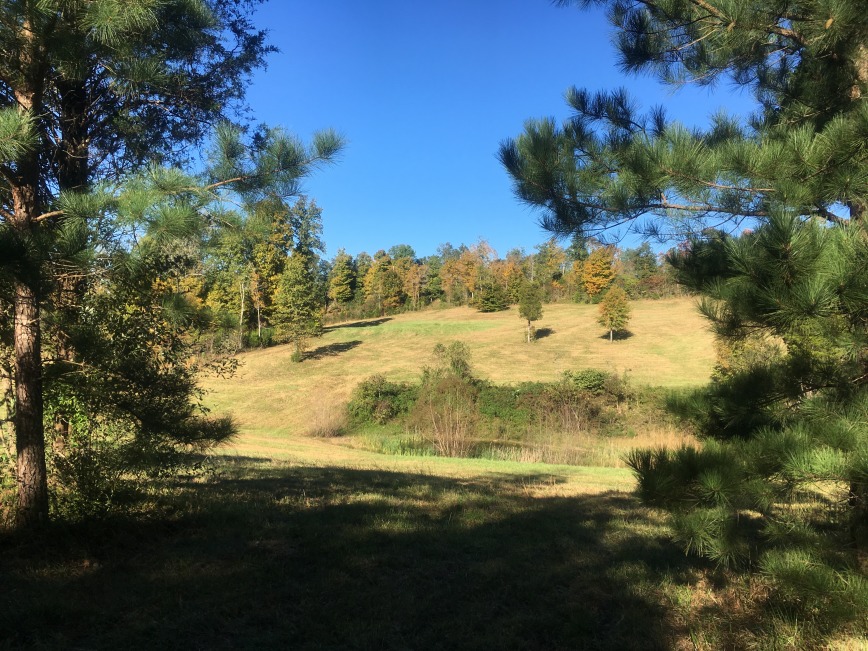 475 Holiday Way, Leitchfield, KY 42754, 565736