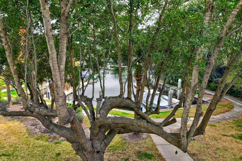 Homes in Ripley Cove are rarely offered for sale, and 9 Transom - photo 36