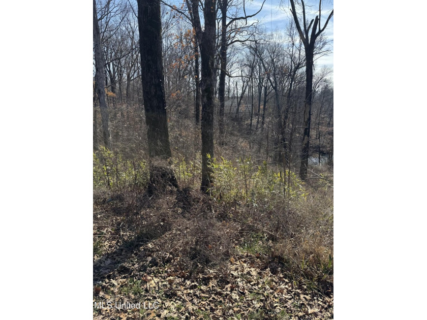 **NEW PRICE - $16,000** .59 Acres with Scenic Lake Views in - photo 4