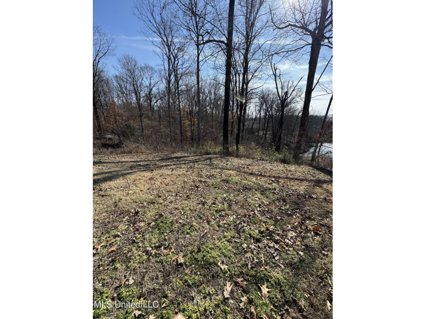 **NEW PRICE - $16,000** .59 Acres with Scenic Lake Views in - photo 6