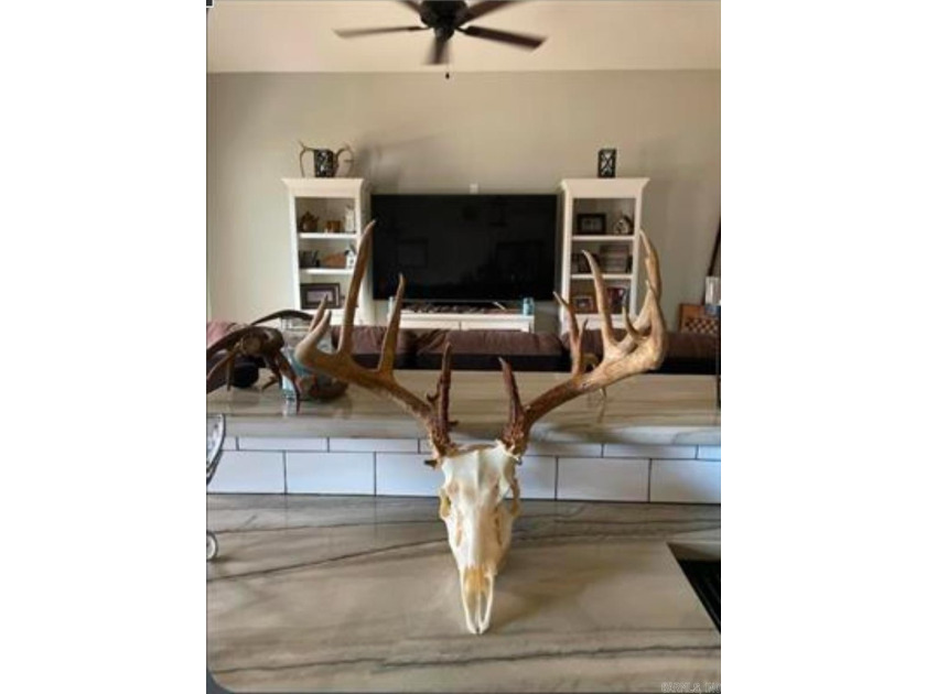 Your dream lakefront retreat on stunning Greers Ferry Lake is - photo 47