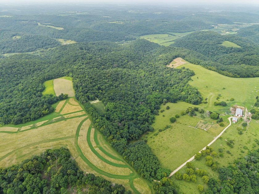 Don't miss your opportunity to purchase this beautiful 26 acres - photo 11
