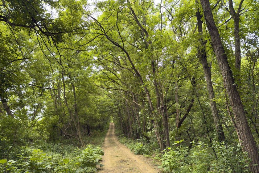 Don't miss your opportunity to purchase this beautiful 26 acres - photo 12