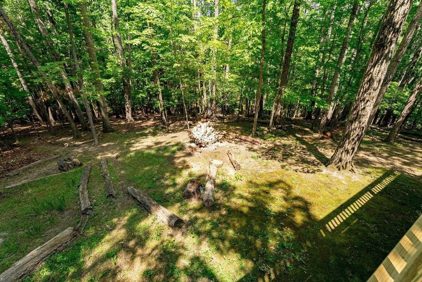 Nestled in the heart of Massanutten, this charming cabin offers - photo 46