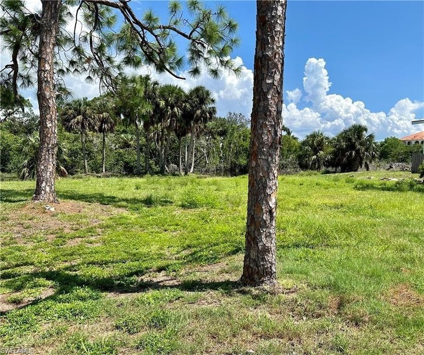 Build a duplex or a single family home! Your choice. TFC-s - photo 2