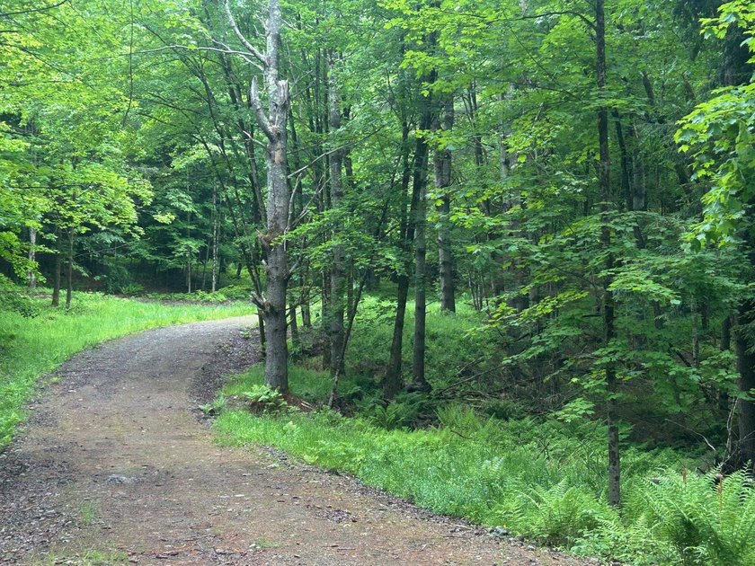 This unique piece of Vermont is now available, offering 10+- - photo 5