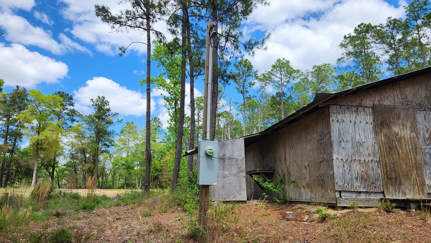 Prime road frontage along Florida State Highway 20 in the - photo 14