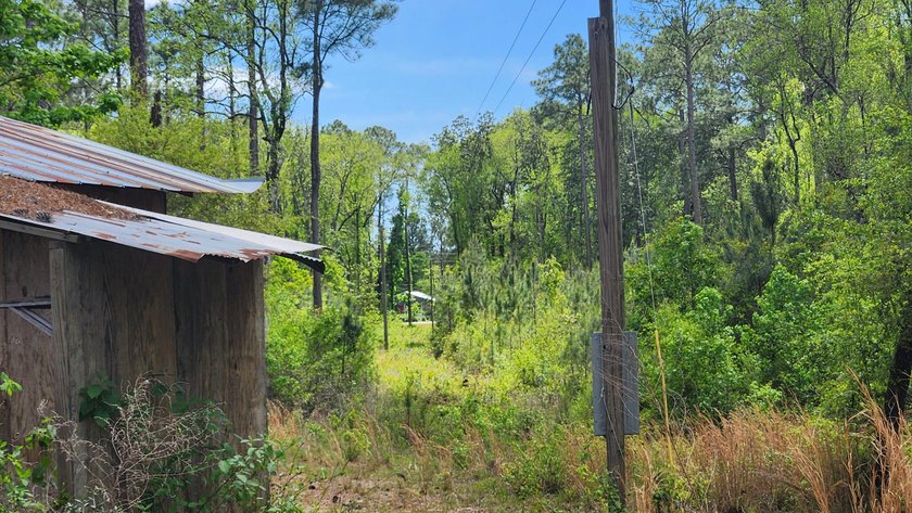 Prime road frontage along Florida State Highway 20 in the - photo 15