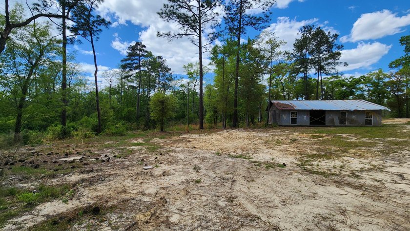 Prime road frontage along Florida State Highway 20 in the - photo 20