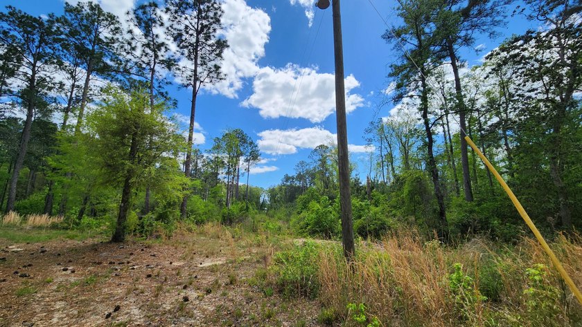 Prime road frontage along Florida State Highway 20 in the - photo 21