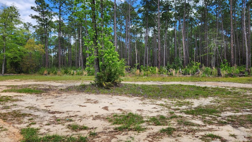 Prime road frontage along Florida State Highway 20 in the - photo 24