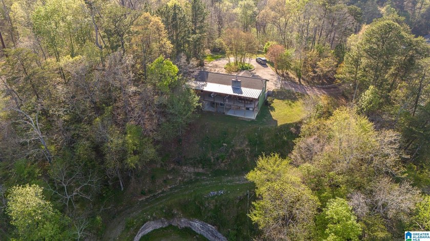 Wow! Welcome to this RARE LUXURY Warrior River Retreat! 4.25 +/- - photo 34