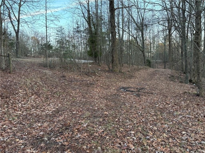Beautiful mature land! 23.41 Acres - wooded with a nice mix of - photo 12