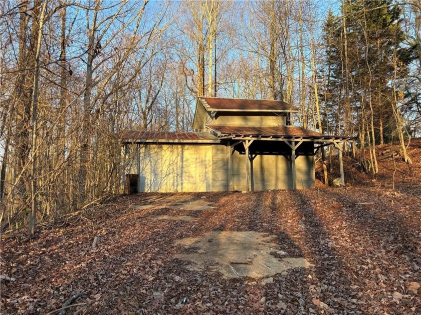 Beautiful mature land! 23.41 Acres - wooded with a nice mix of - photo 17