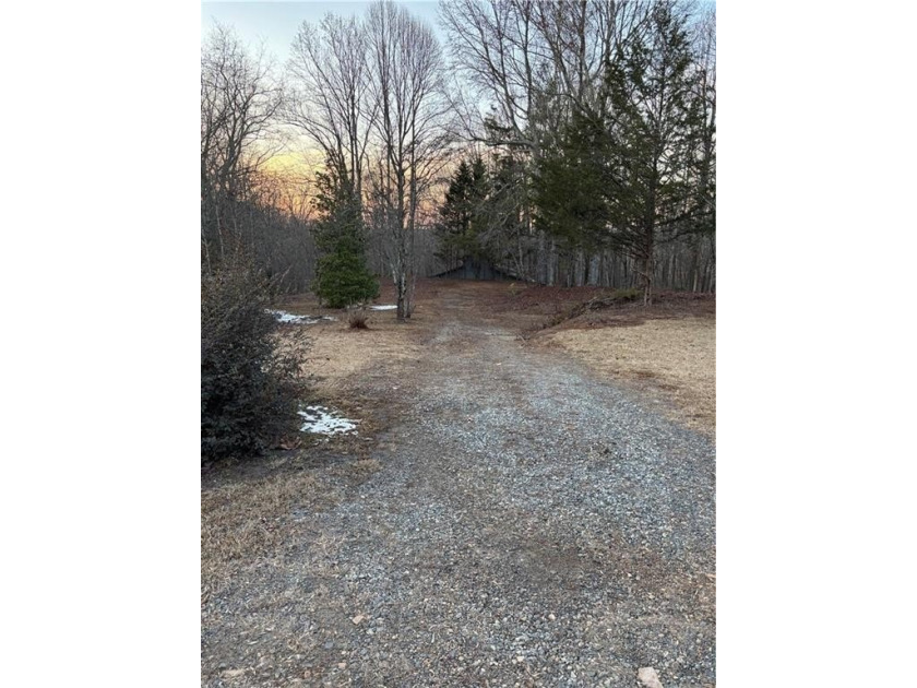 Beautiful mature land! 23.41 Acres - wooded with a nice mix of - photo 27