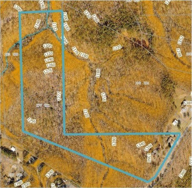 Beautiful mature land! 23.41 Acres - wooded with a nice mix of - photo 29