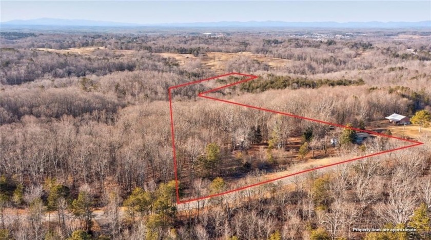 Beautiful mature land! 23.41 Acres - wooded with a nice mix of - photo 32