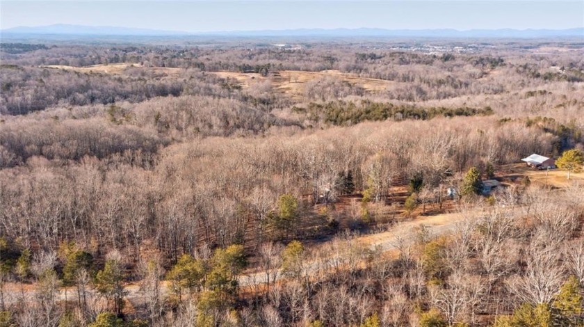 Beautiful mature land! 23.41 Acres - wooded with a nice mix of - photo 33