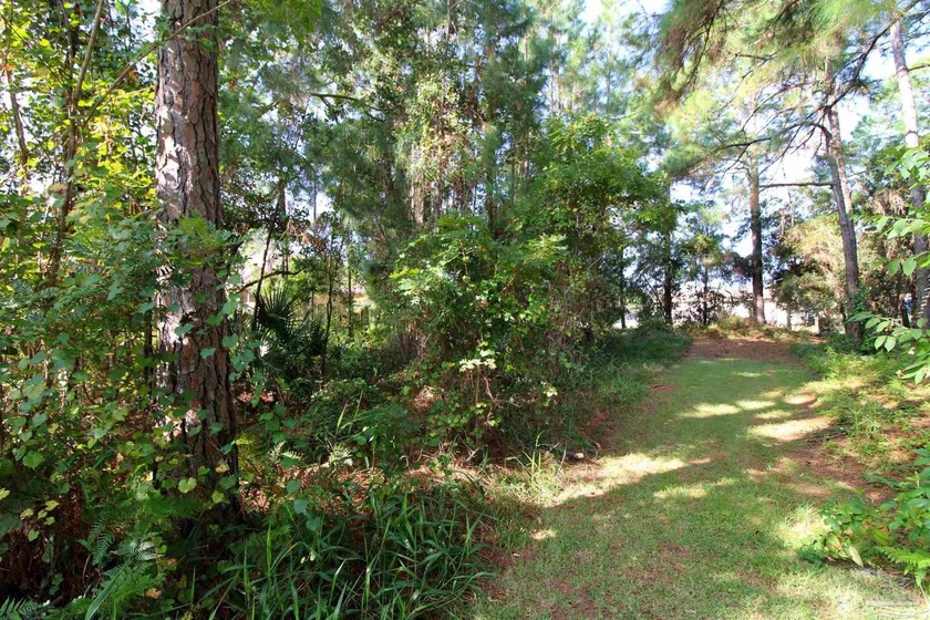 **Build Your Dream Waterfront Retreat!** Discover a rare - photo 11