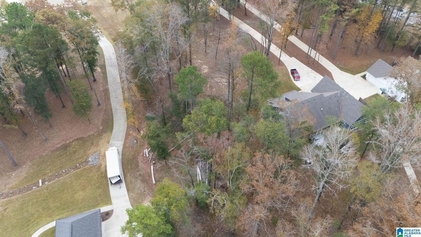 Discover the perfect setting for your future home at 3 Rising - photo 20