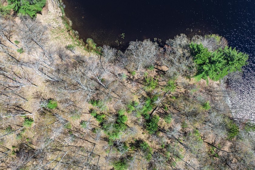 A rare chance to own the BEST of both worlds in the Northwoods! - photo 22
