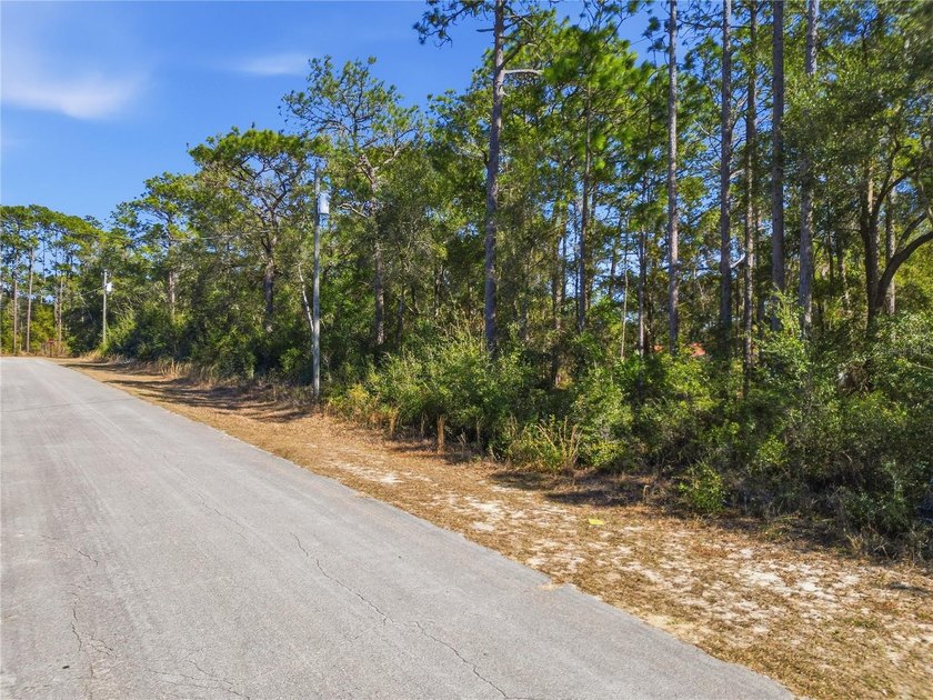 Vacant 0.28-acre residential lot located in the Citrus Springs - photo 5