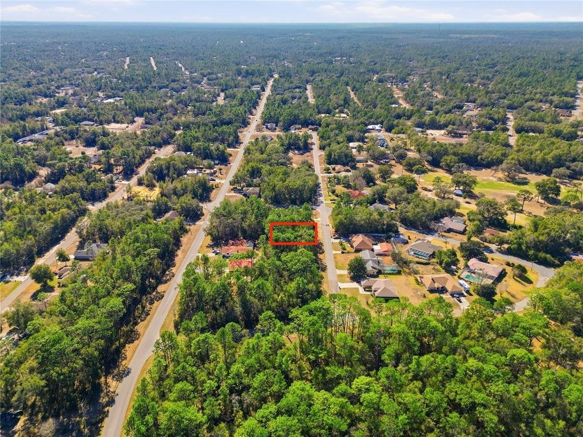 Vacant 0.28-acre residential lot located in the Citrus Springs - photo 7