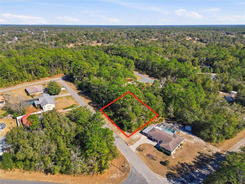 Vacant 0.28-acre residential lot located in the Citrus Springs - photo 9