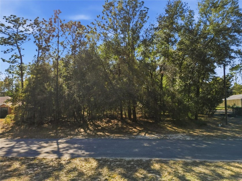 Vacant 0.29-acre lot located in the Citrus Springs community - photo 2