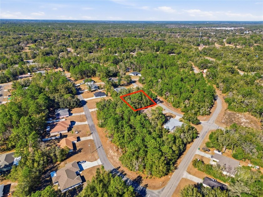 Vacant 0.29-acre lot located in the Citrus Springs community - photo 7