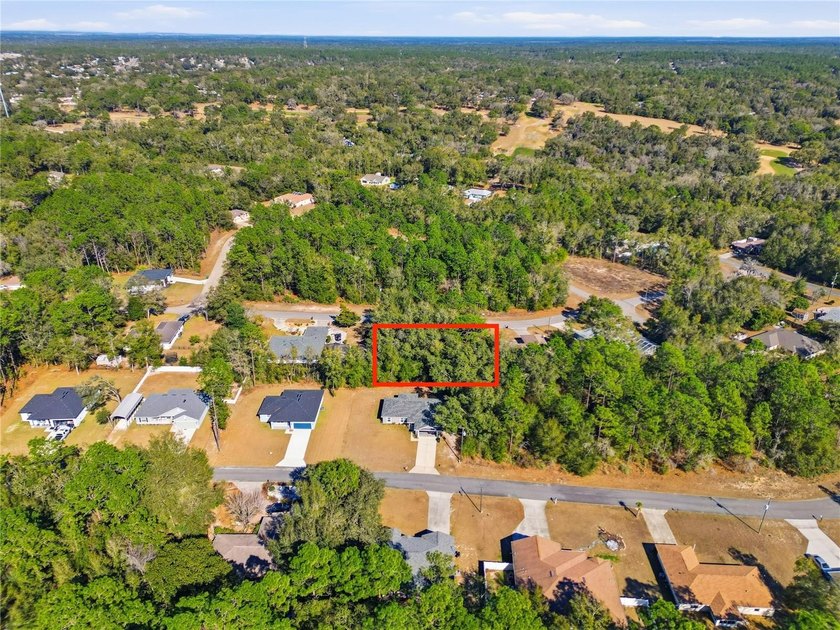 Vacant 0.29-acre lot located in the Citrus Springs community - photo 8