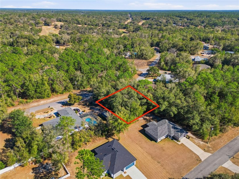 Vacant 0.29-acre lot located in the Citrus Springs community - photo 9