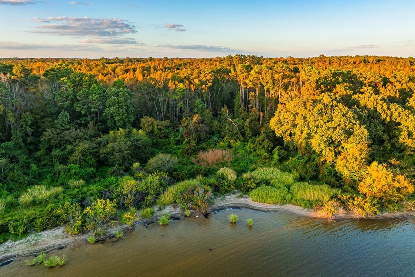 Lake Palestine Ranch is a rare offering, being the largest - photo 4