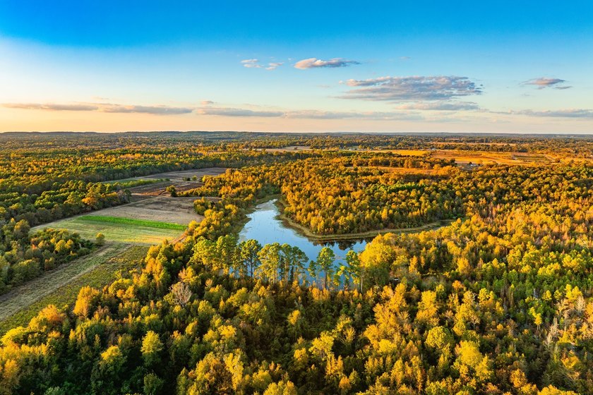Lake Palestine Ranch is a rare offering, being the largest - photo 7