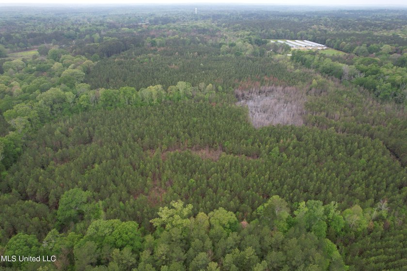 Located in the heart of Simpson County, this 53.2-acre spread is - photo 12