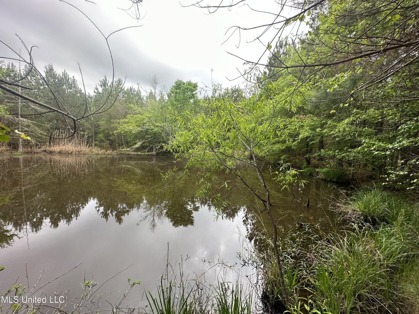 Located in the heart of Simpson County, this 53.2-acre spread is - photo 18