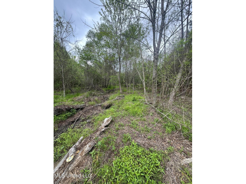 Located in the heart of Simpson County, this 53.2-acre spread is - photo 20