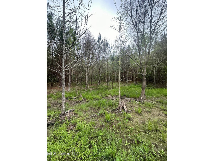 Located in the heart of Simpson County, this 53.2-acre spread is - photo 21