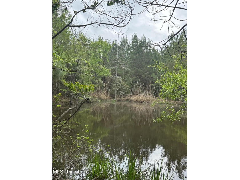 Located in the heart of Simpson County, this 53.2-acre spread is - photo 22