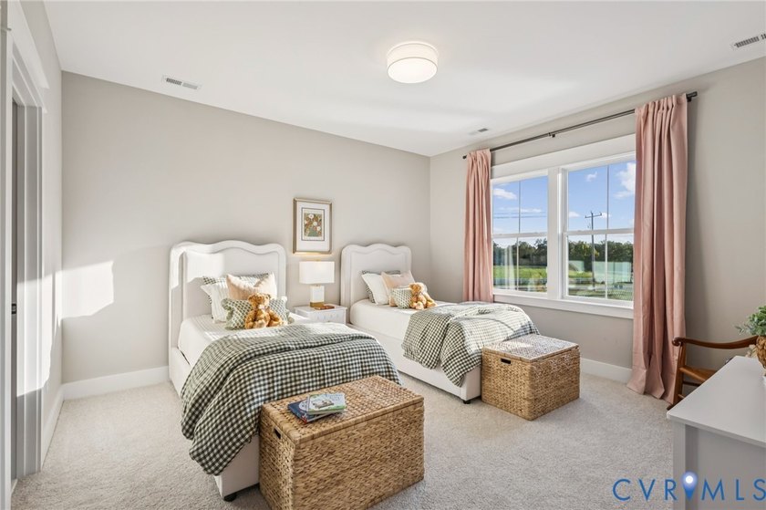 Discover Viniterra, New Kent's most exclusive neighborhood, with - photo 20