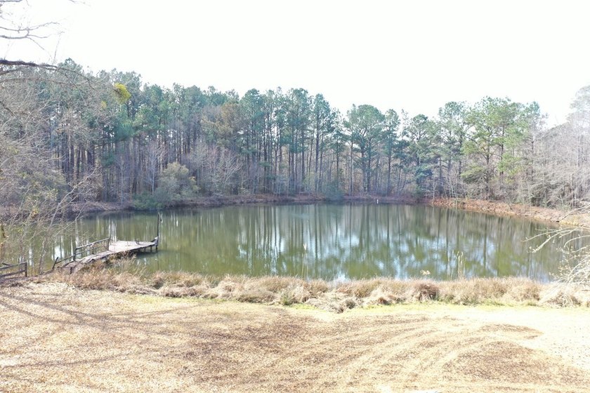 Private location. Nice home that needs some love. Over 47 acres - photo 21